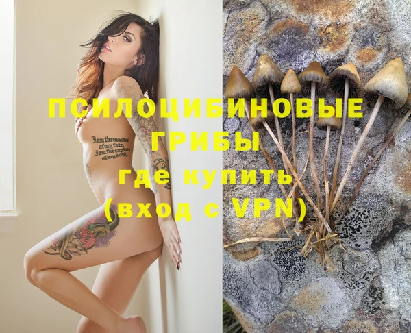 трава Дмитров
