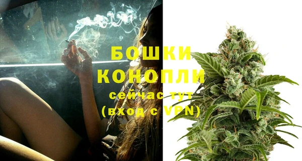 ECSTASY Дмитриев