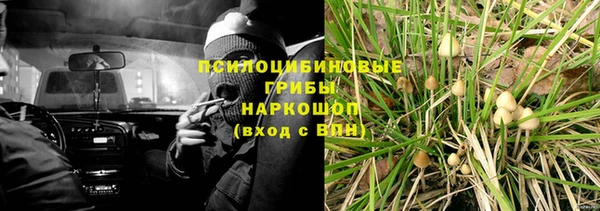 ECSTASY Дмитриев