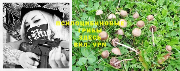 трава Дмитров