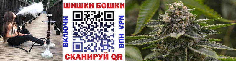 сайты даркнета официальный сайт  Новомосковск  МАРИХУАНА ГИДРОПОН 